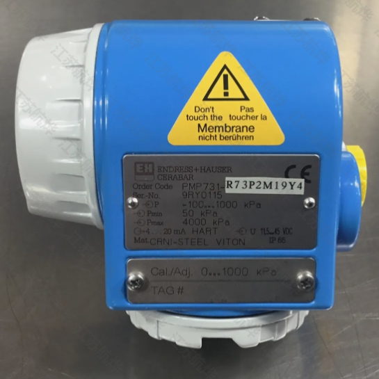 Endress+Hauser100k-1000kPa ѹCerabar PMP731-R73P2M19Y4