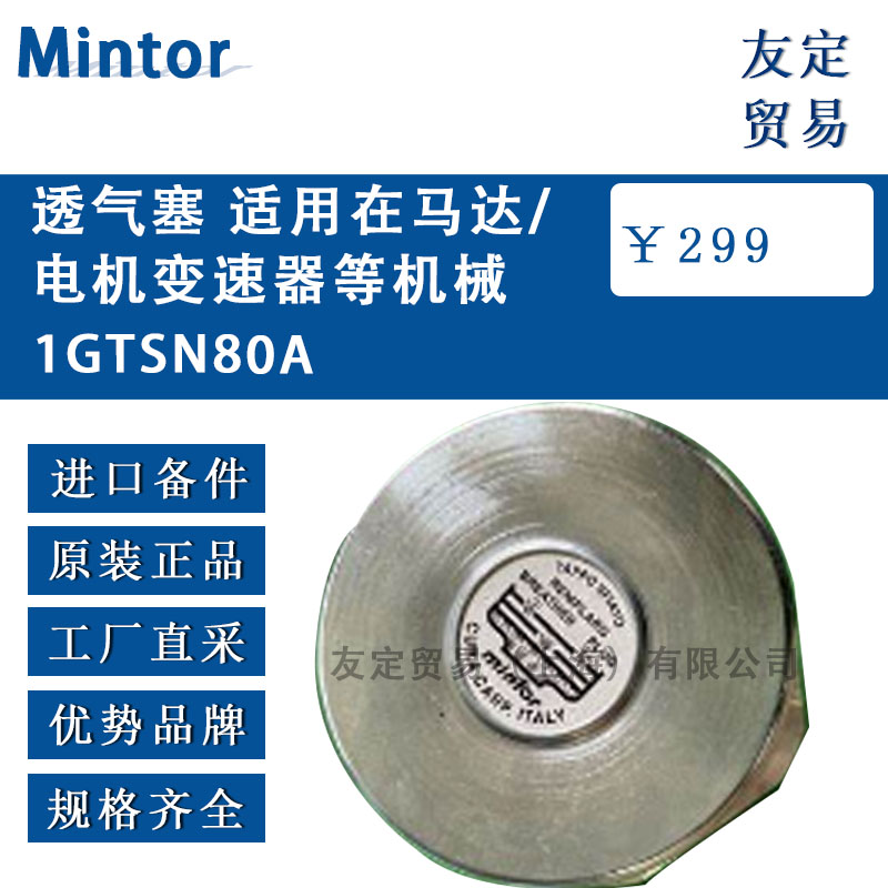 Mintor ͸ /Ȼе1GTSN80A
