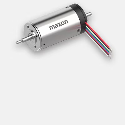 maxonˢ, 80 Watt, 118890