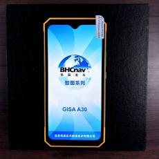 ͼGISA A30ʲɼֱֳն