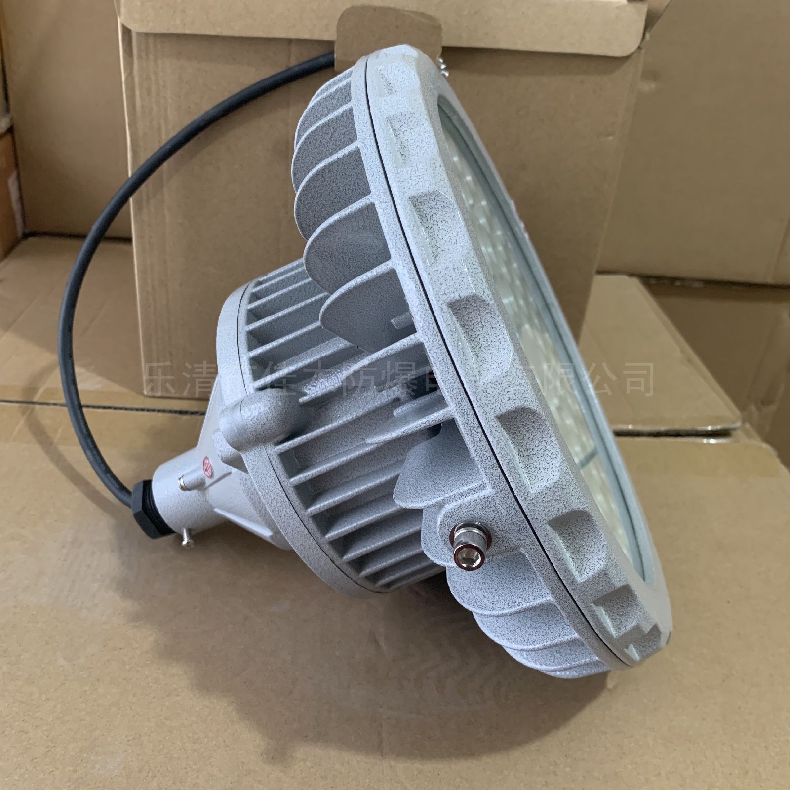 LED͹100W