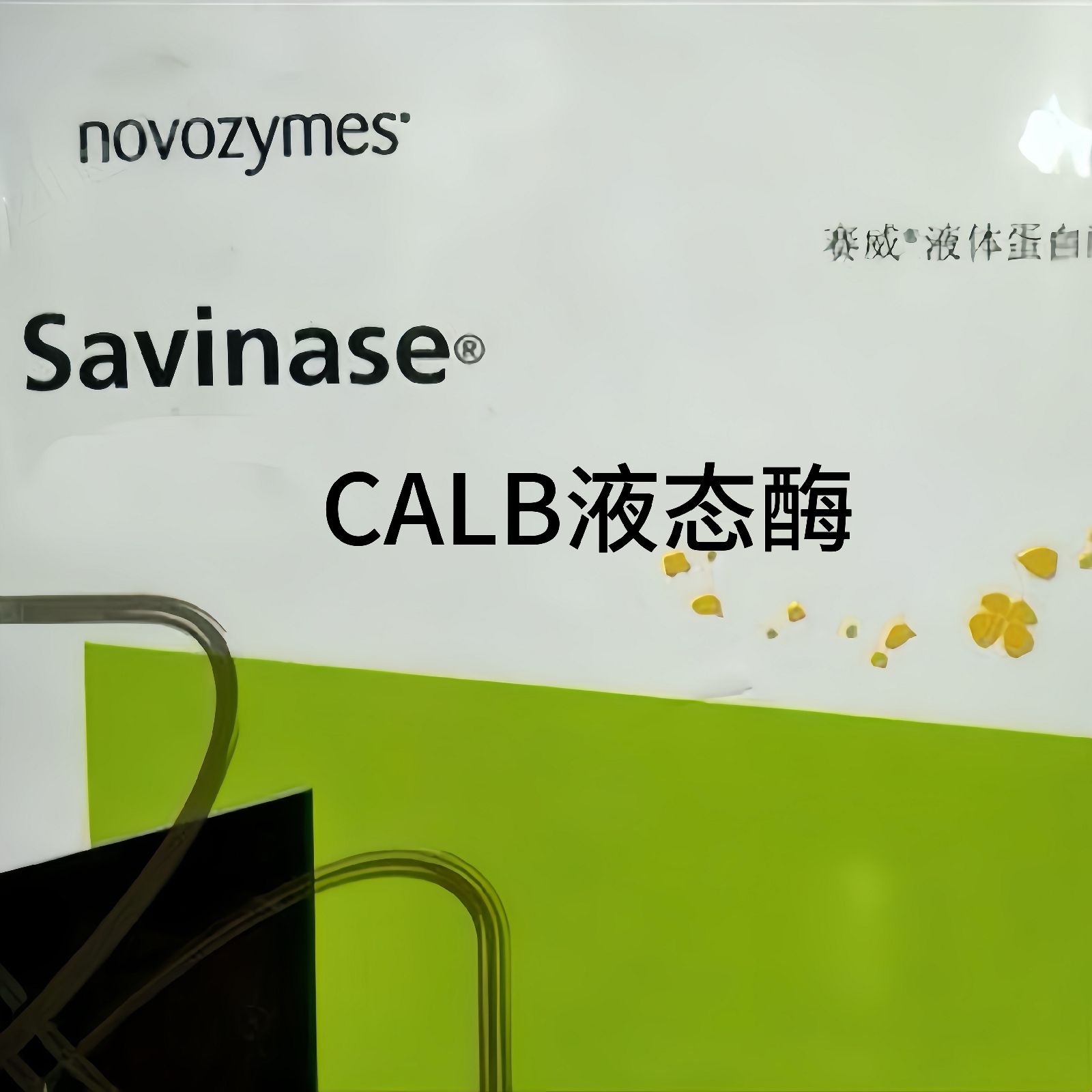 ŵά Novozymeŵά Novozyme Lipozyme CALB L ֬ø