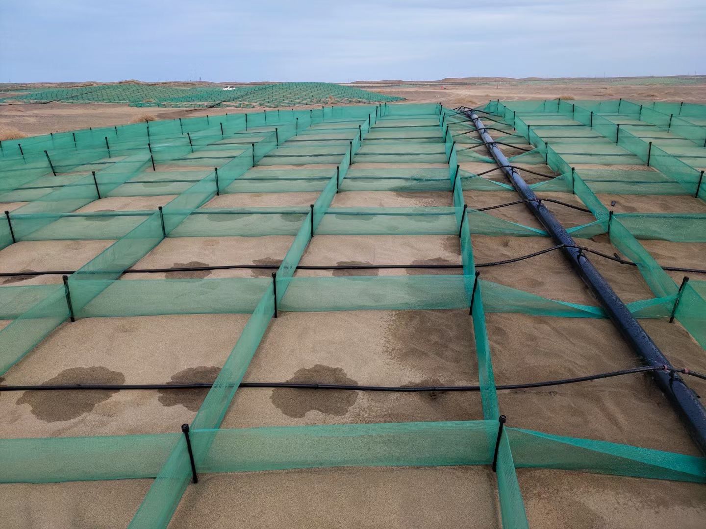 ����HDPE��ɳ��ɳĮ���������ɳ�赲��ɳ��������ɳ�Ч����������1*1����