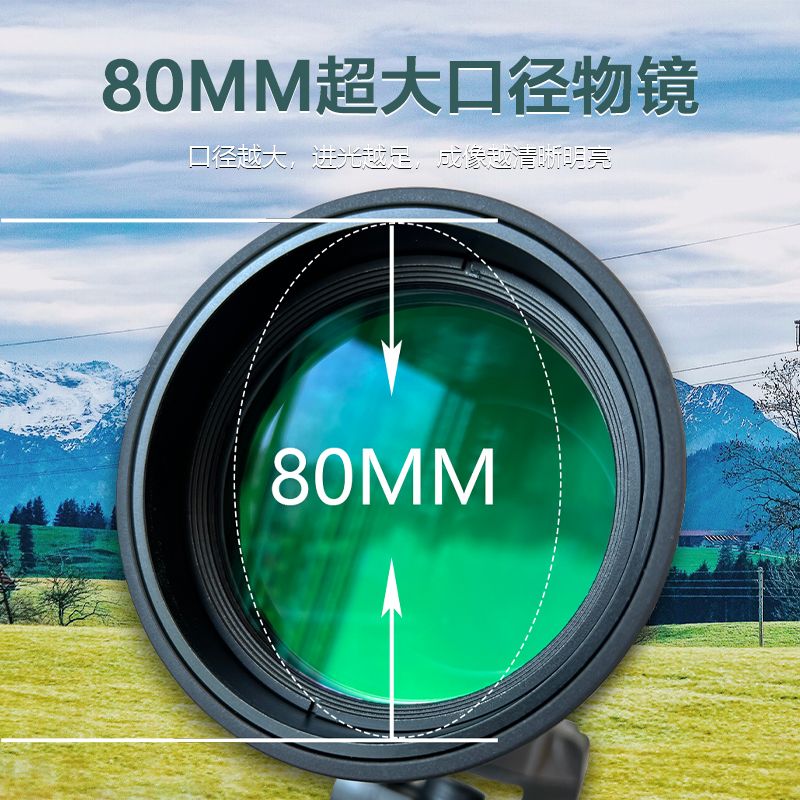 ͼͲ䱶Զ۰о۾20-60x80ED