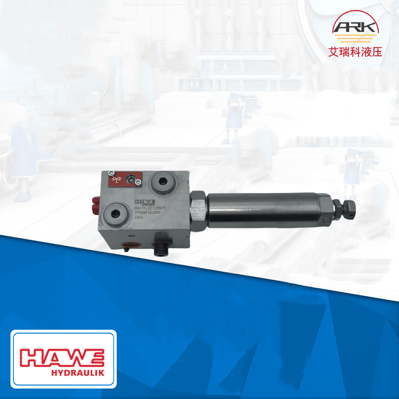 ¹BVH11M /GM /R B2,5 /3ԭװʱһbvh11lzd1/250/5HAWE