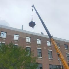 �c���鿴��DƬ