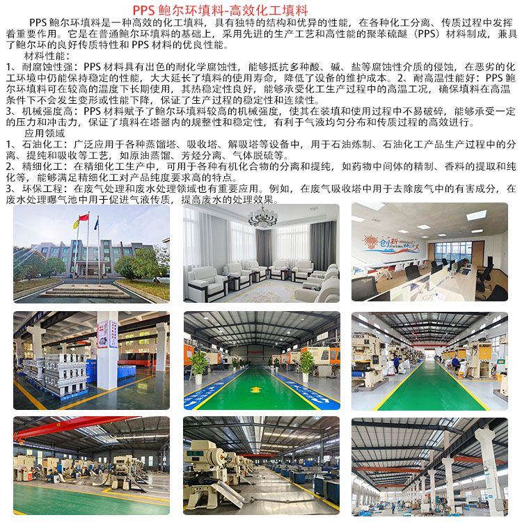 科隆填料PPS鲍尔环 耐高温性能好 石油炼制 原油蒸馏芳烃分离DN50