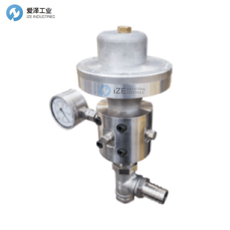 HAMMELMANN止回阀00.05876.0051