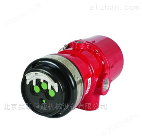 Det-TronicsX3301S4N13W2