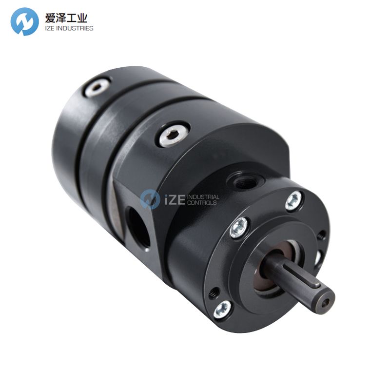 BEINLICHZPDA1-1,20-KI-R-F-100/HK-0/GL-SP/SB