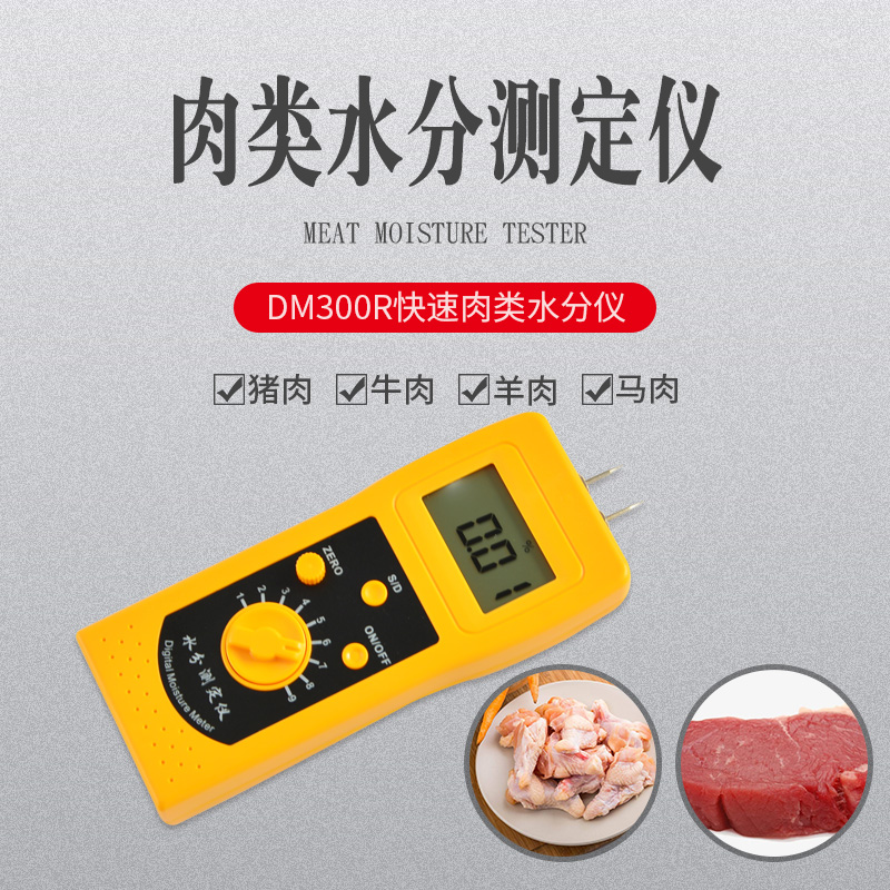 ؿƱЯʽˮDM300R 
