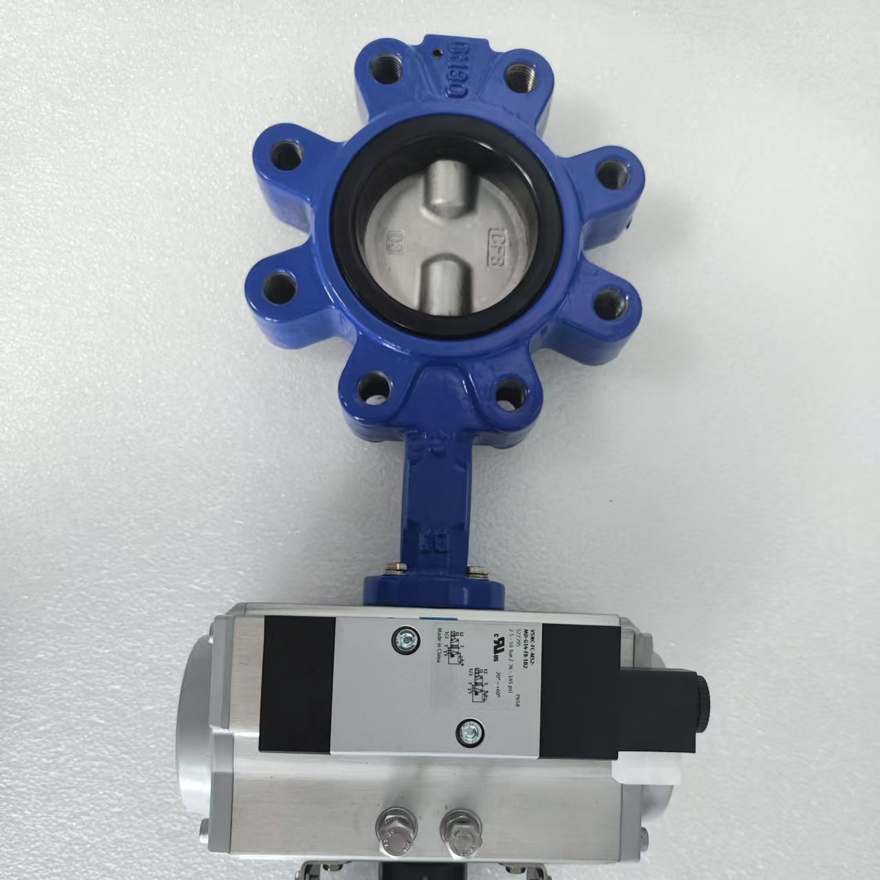 FESTODFPX-0080-RP-90-RS60-F0507-CS