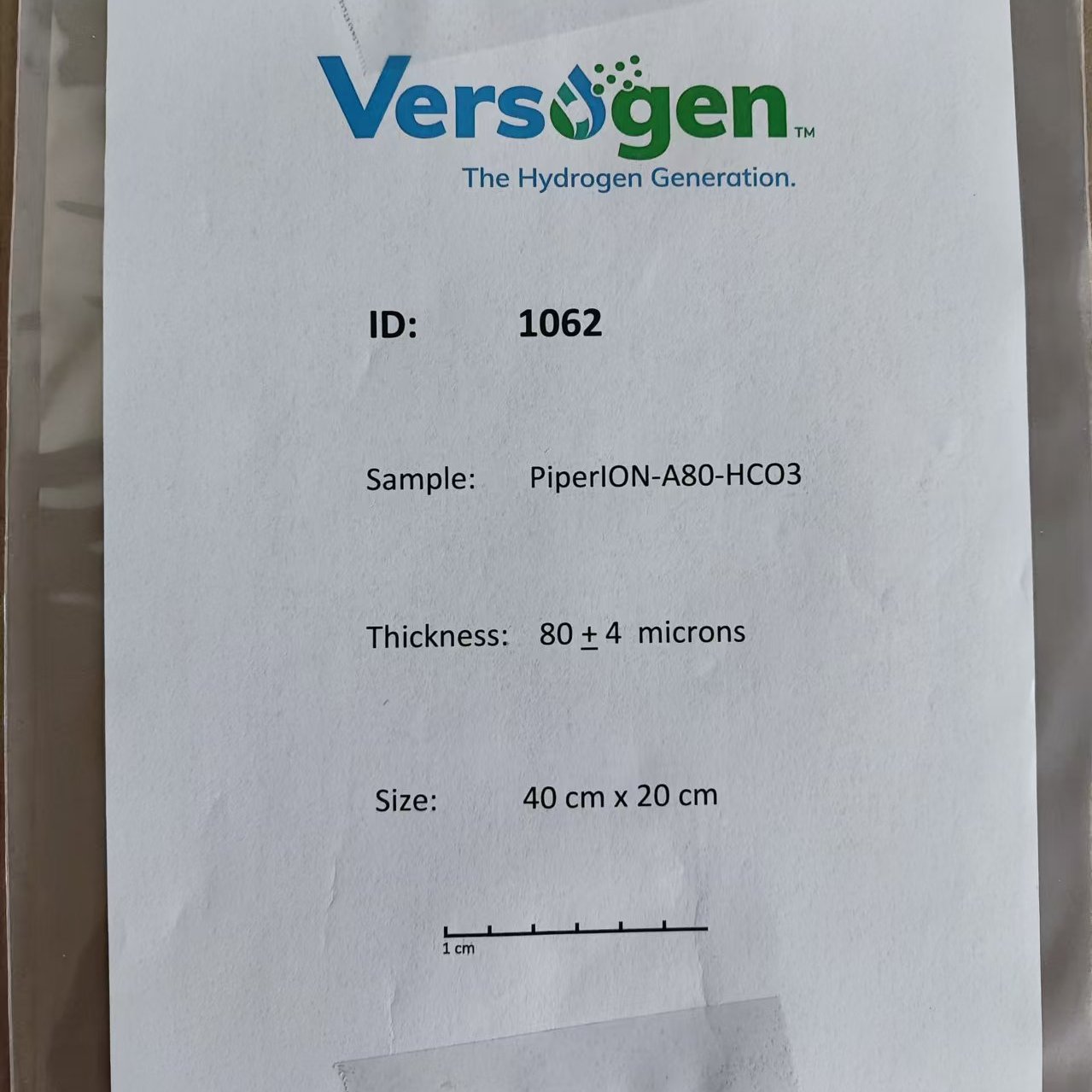 VersogenӽĤPiperION-A80-HCO3