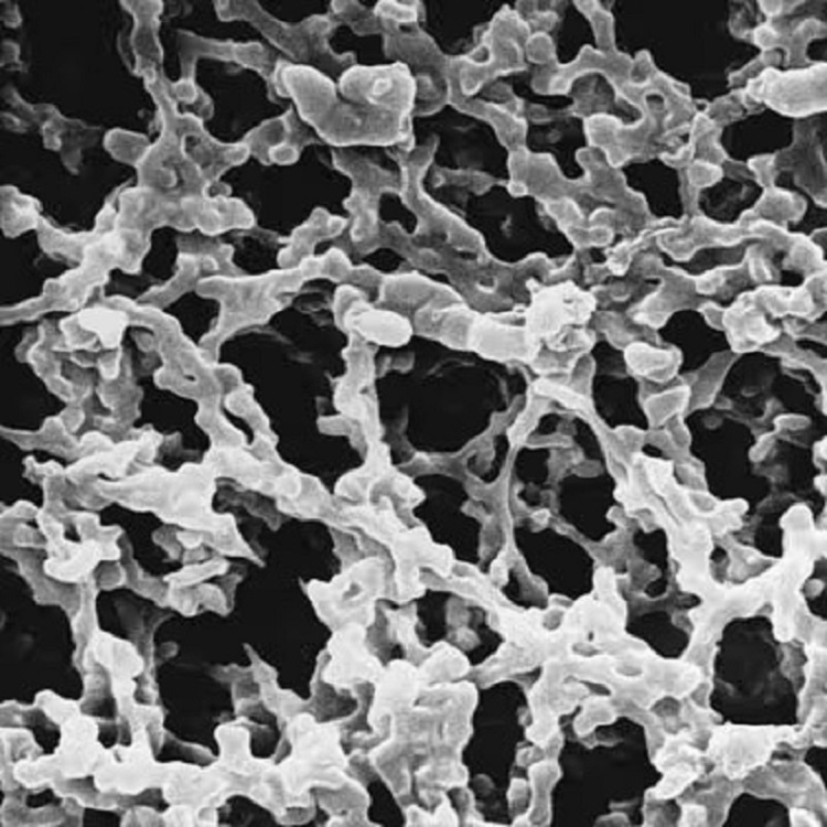 MilliporeĤ׾0.45&#181;m47mmɫHAWP04700