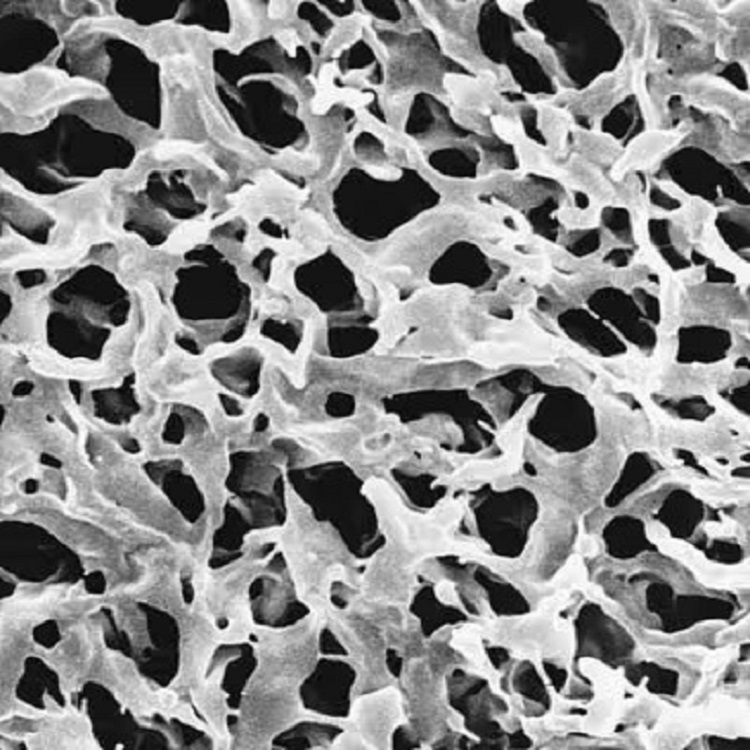 Millipore DuraporeĤװ,0.45&#181;m47mmɫHVLP04700