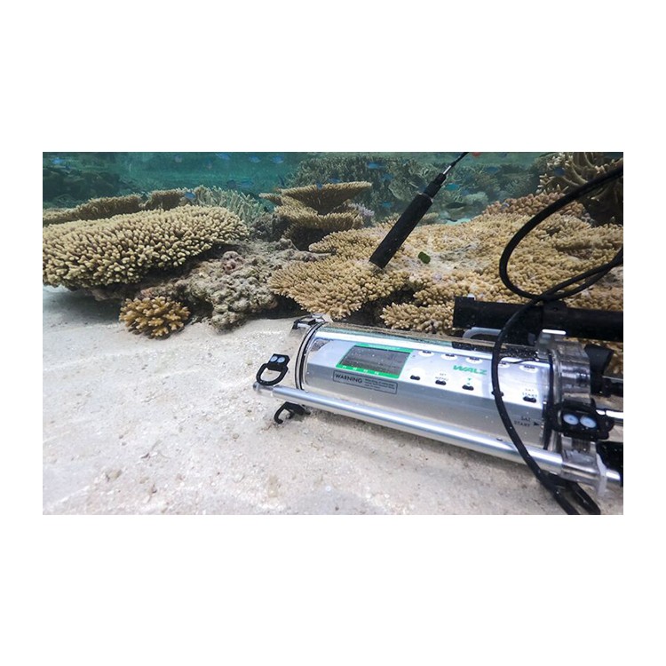 ¹WALZ DIVING-PAM-II΢͹ǵˮӫ