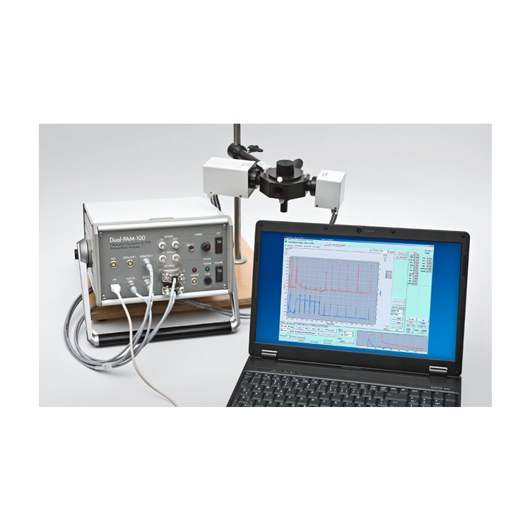 ¹WALZ DUAL-PAM-100Ҷӫϵͳ