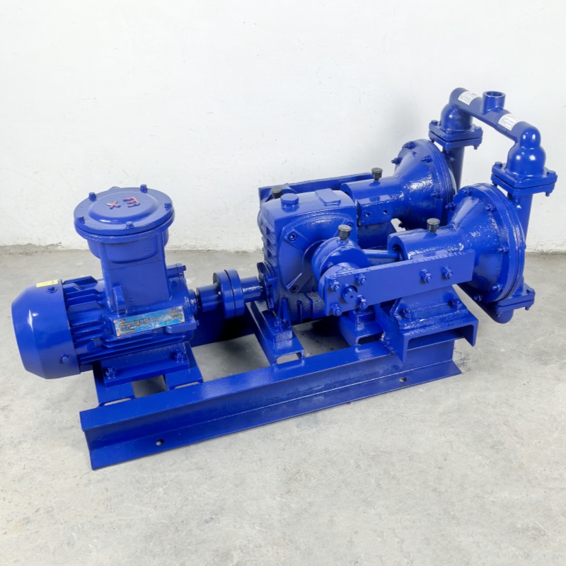 Shangwu Fluid Stainless steel 316L turbine explosion-proof electric diaphragm pump, corrosion-resistant DBY-25RL 