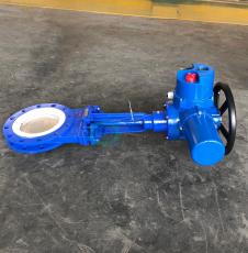 ǭǿֵõբ DN700, Pn=1.0MPaբ PZ973H-10P DN700