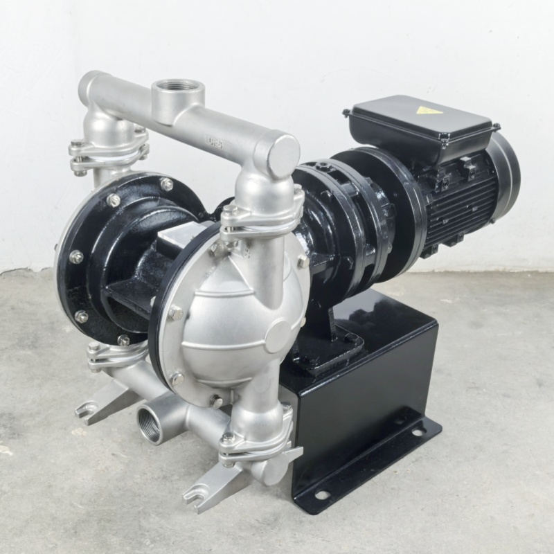 Shangwu Fluid Stainless steel electric diaphragm pump single-phase 220V ordinary motor DBY-40P 