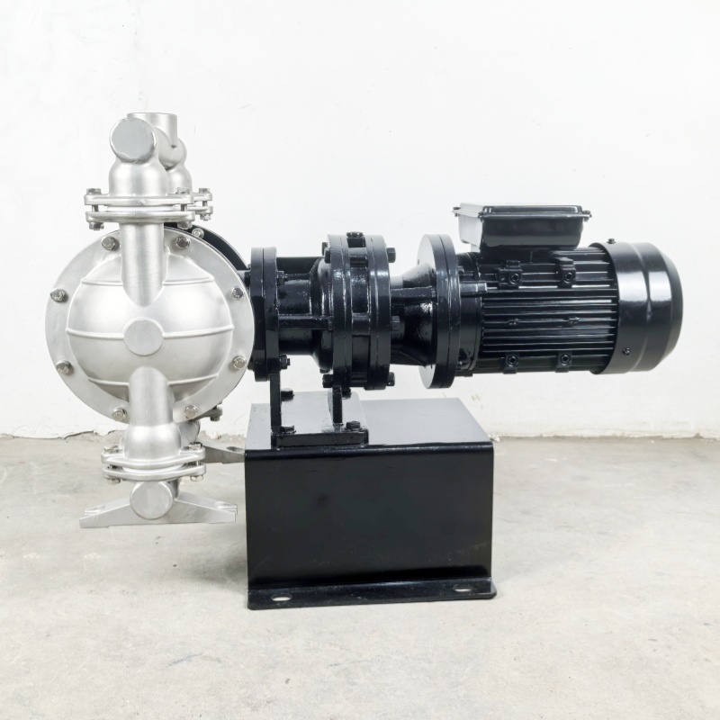 Shangwu Fluid Stainless steel electric diaphragm pump single-phase 220V ordinary motor DBY-40P 