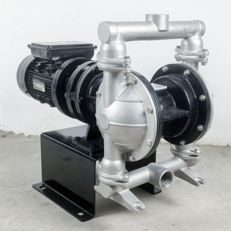 Shangwu Fluid Stainless steel electric diaphragm pump single-phase 220V ordinary motor DBY-40P 