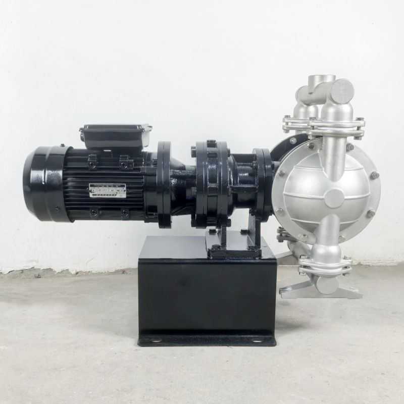 Shangwu Fluid Stainless steel electric diaphragm pump single-phase 220V ordinary motor DBY-40P 