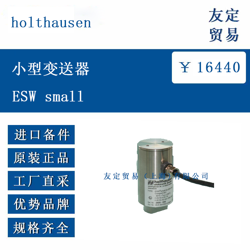 holthausen ŷ�޽��� С�ͱ�����ESW small