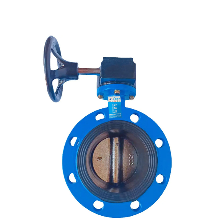 ǭ ܷṹ ƾȷD941X-10Q DN200