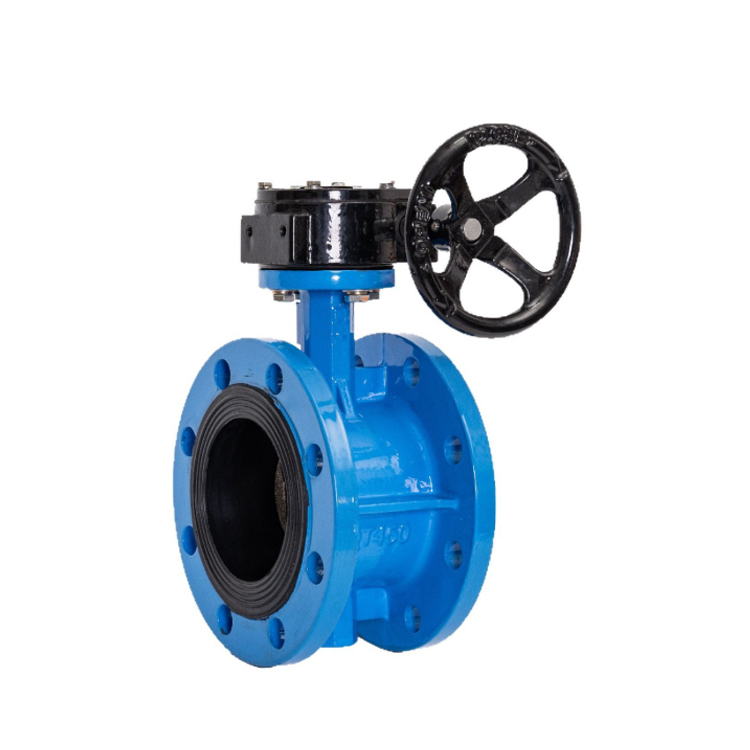 ǭ ܷṹ ƾȷD941X-10Q DN200