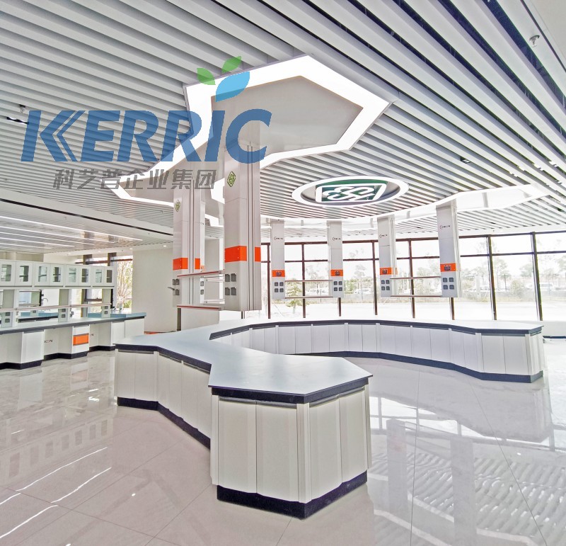ո߶ʵҼҾʵ̨kerriclab