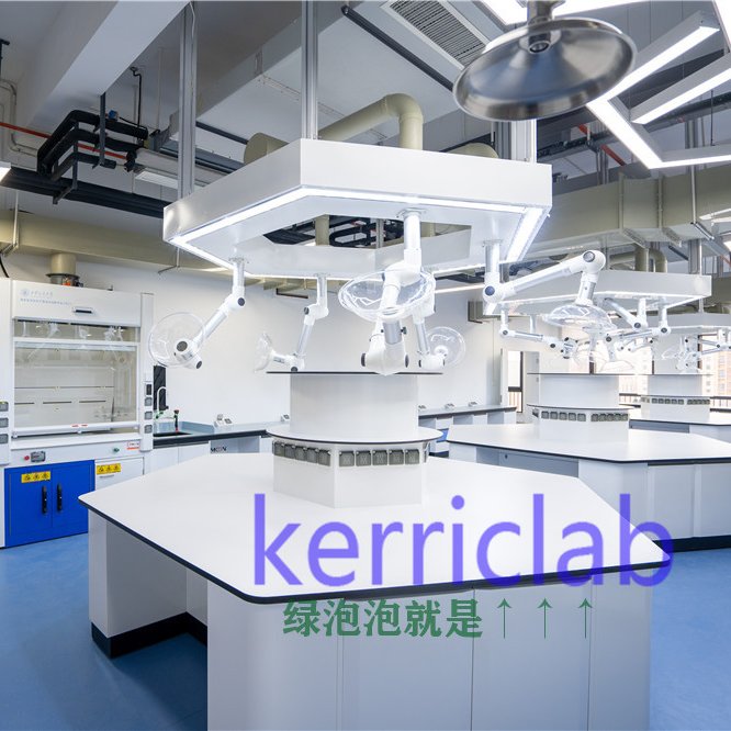 ո߶ʵҼҾʵ̨kerriclab