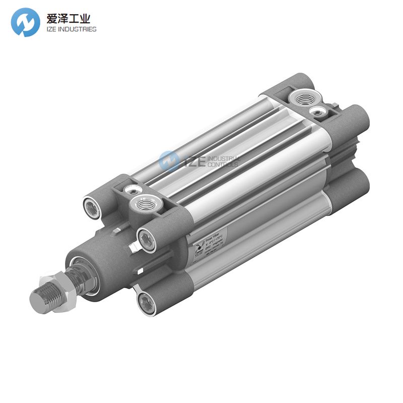 PNEUMAX1390.32.0900.01