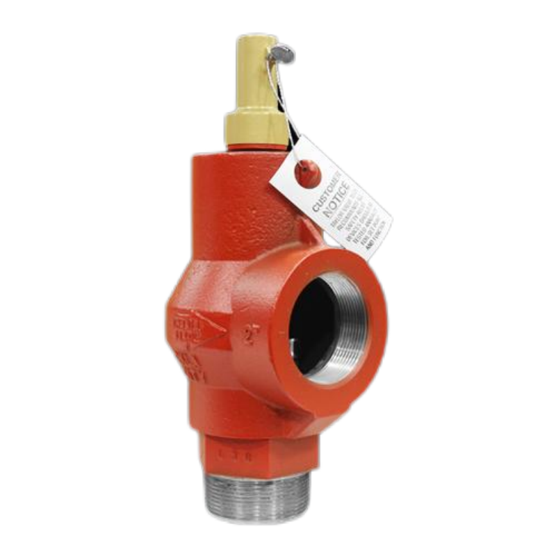 Taylor Valve 19BV ϵѹͷŷȫ 19BV .250/8400ϵ