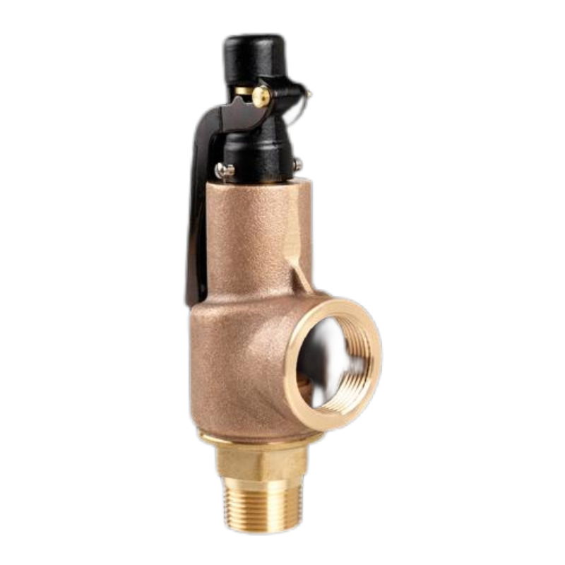 Taylor Valve 19BV ϵѹͷŷȫ 19BV .250/8400ϵ