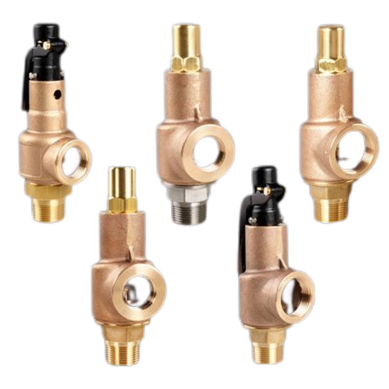 Taylor Valve 19BV ϵѹͷŷȫ 19BV .250/8400ϵ