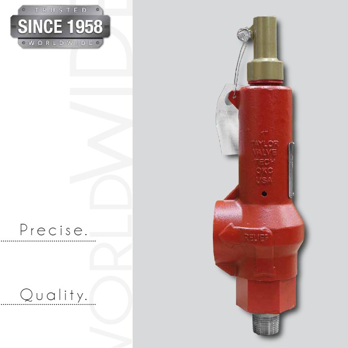 Taylor Valve 19BV ϵѹͷŷȫ 19BV .250/8400ϵ