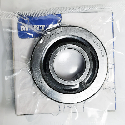 MONTONŷB25-224-2RS/P4