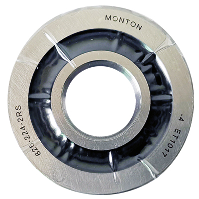 MONTONŷB25-224-2RS/P4