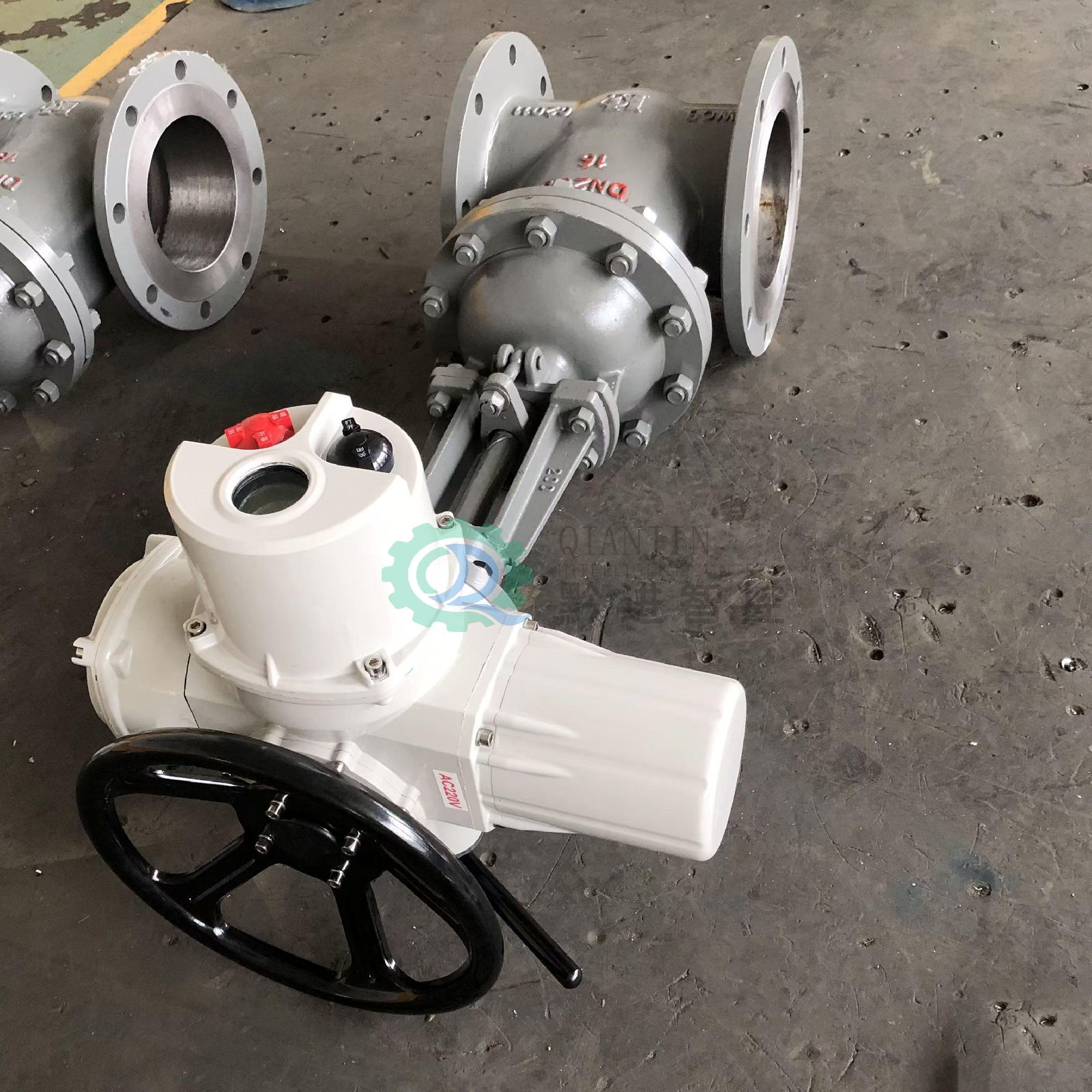 ǭǿش͹޸жϷ 綯բ Դ220VAC IP65Z941H-16 DN80