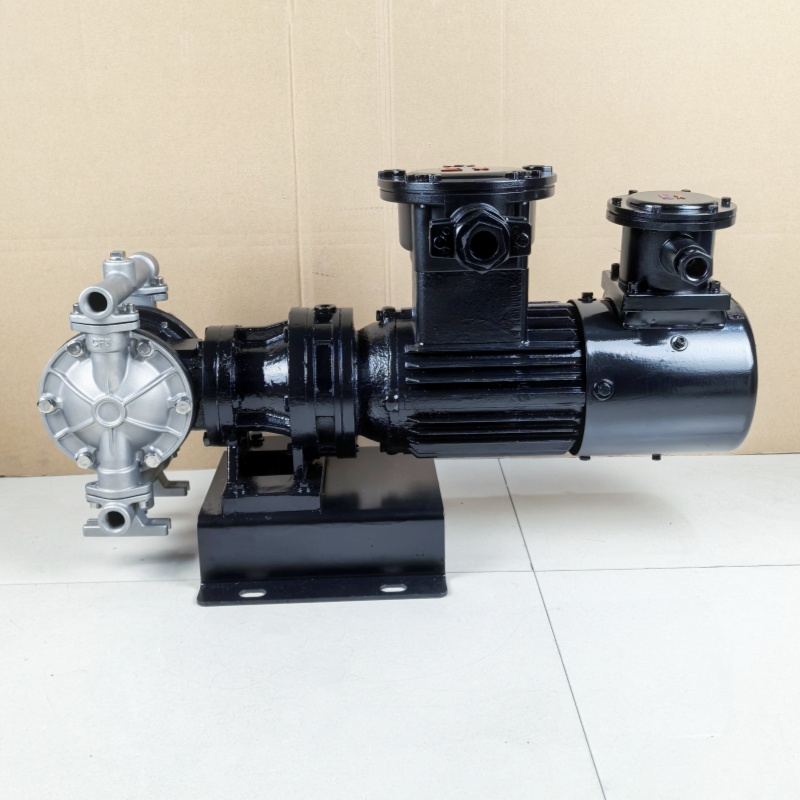 Shangwu Fluid Explosion proof stainless steel variable frequency electric diaphragm pump DBY-15PB 