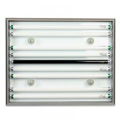 ����鿴��ͼƬ