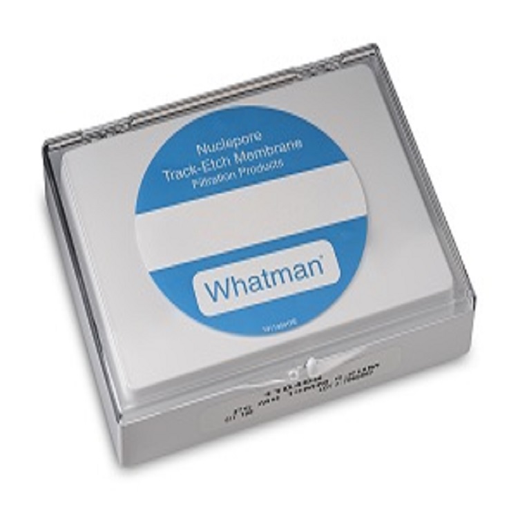 Whatman Nuclepore ̼ˮĤ10417004