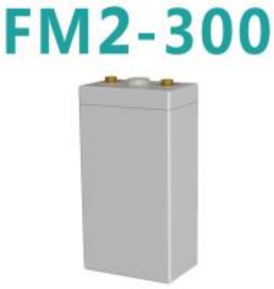 ourekǦ2VվϵϵͳFM2-300