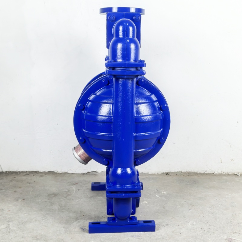 Shangwu Fluid Strong acid delivery of cast iron lined fluorine pneumatic diaphragm pump QBY-50F46 