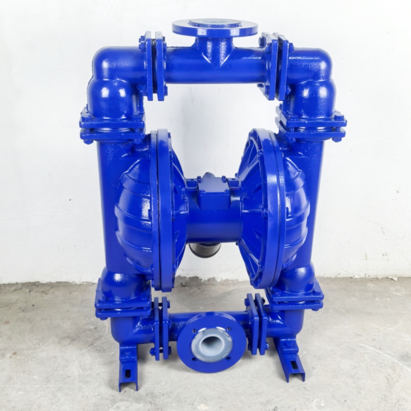 Shangwu Fluid Strong acid delivery of cast iron lined fluorine pneumatic diaphragm pump QBY-50F46 
