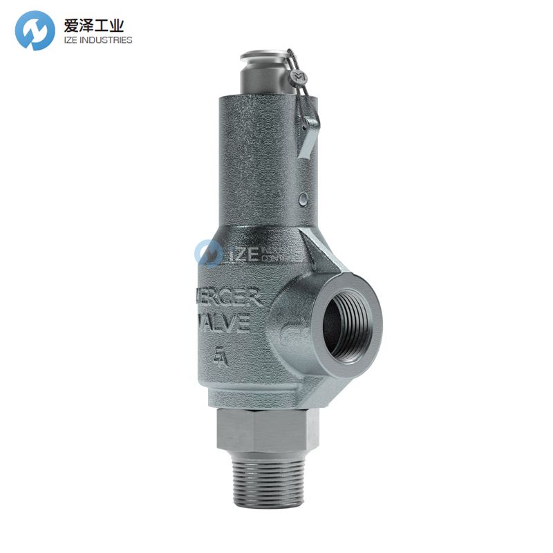 MERCER安全阀91-36E11T17N1