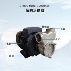 鿴ͼƬ