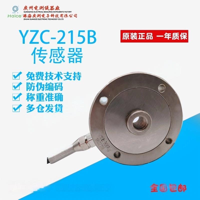 ΢ָʽش/100-1000KGYZC-215B