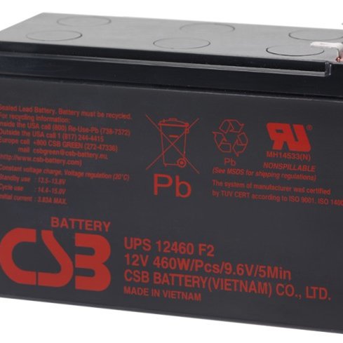 CSBUPS12460WF2 12V460W